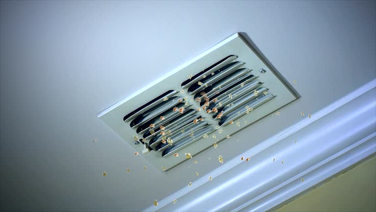 Best HVAC Duct Inspection Services  in Ridgewood, IL