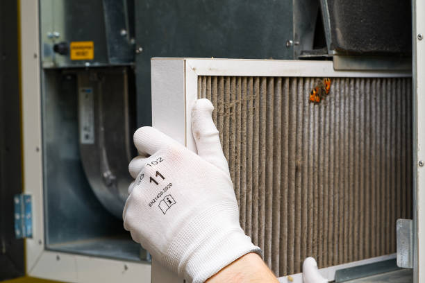 Best Air Duct Cleaning Near Me  in Ridgewood, IL