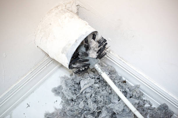 Best Air Vent Cleaning Services  in Ridgewood, IL